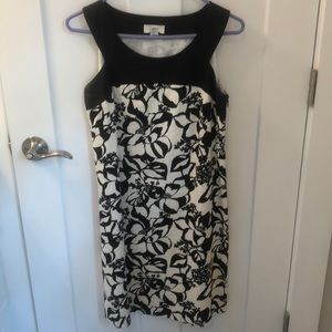 Ann Taylor Loft Summer dress